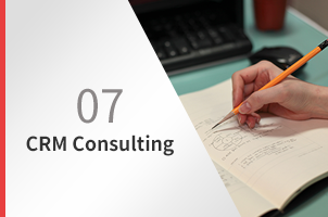 07.VIP CRM Consulting Conderge
